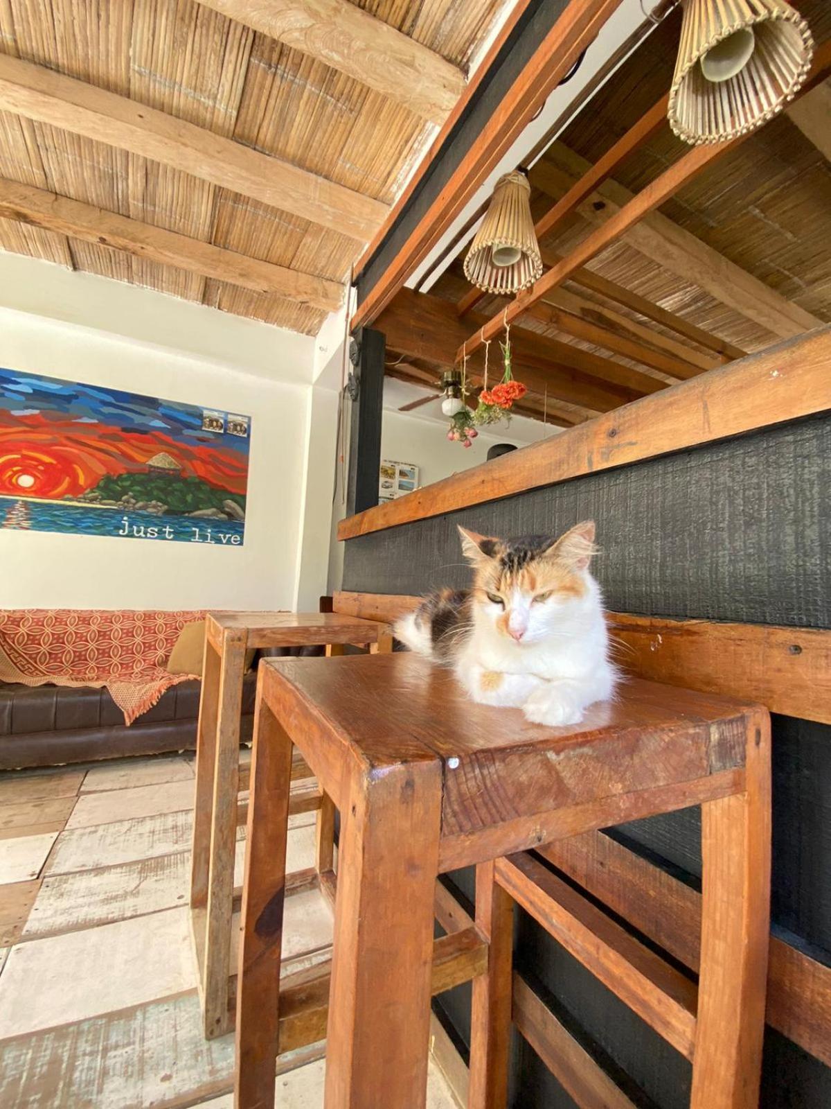 Casa Kai Hotel Palomino Ngoại thất bức ảnh